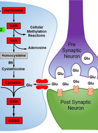 Metabolic Treatments