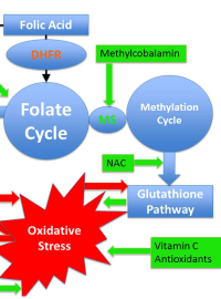 Metabolic Treatments